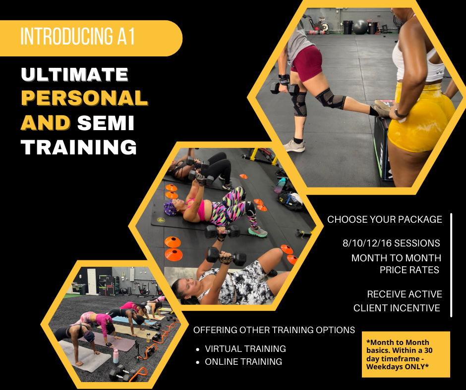 A1 Ultimate Training