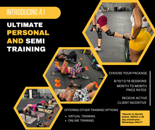 A1 Ultimate Training